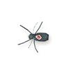 kevin's bright spot beetle